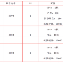 国内/海外服务器租用