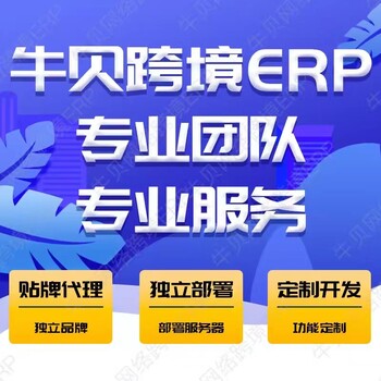 亞馬遜跨境電商鋪貨erp貼牌跟賣軟件物流oem