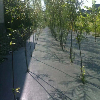 湖南防草布、園林地布銷(xiāo)售