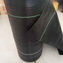 廣東除草布、防草布銷售