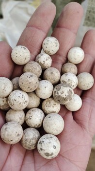 大量回收廢高鋁球大量回收研磨球大量回收高綠瓷球