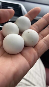大量回收廢舊陶瓷球廠家大量回收耐火廠瓷球研磨機(jī)回收