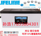 美国LIFELINE蓄电池GPL-31T（启动）12V100AH风能发电系统原装