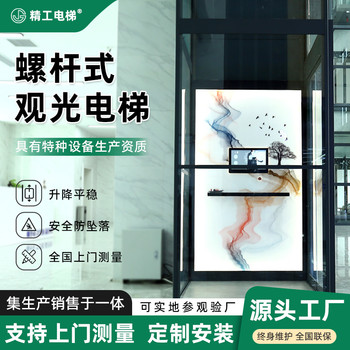 定制精工二三四層家用別墅電梯，無障礙無底坑設(shè)計-螺桿電梯