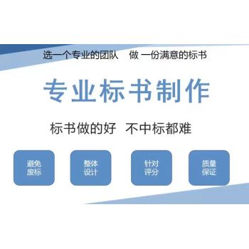 漯河电子标书制作提供标书审查和修改服务