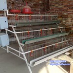 鑫曄畜牧機(jī)械訂制肉雞籠、蛋雞籠等全自動養(yǎng)殖設(shè)備