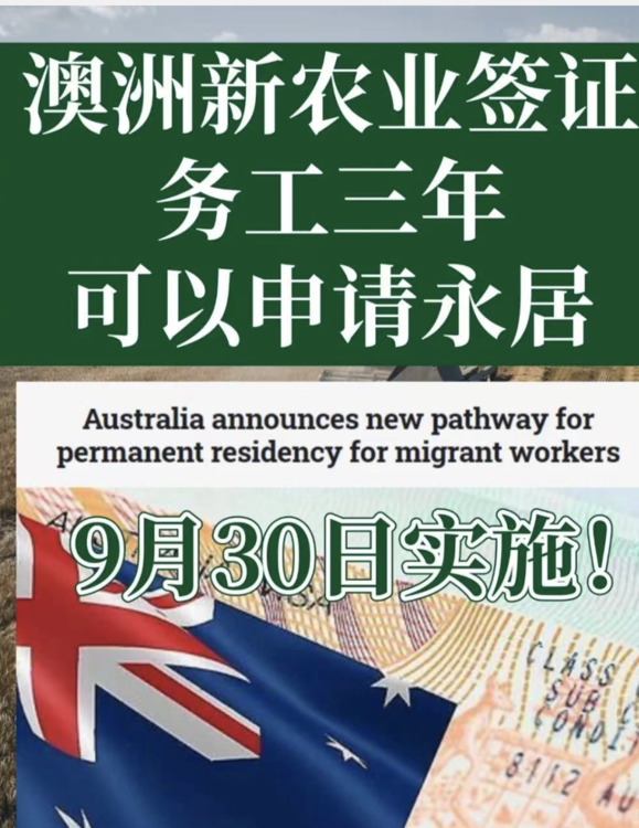 1700875879013298100-4.png@750w_750h_90Q