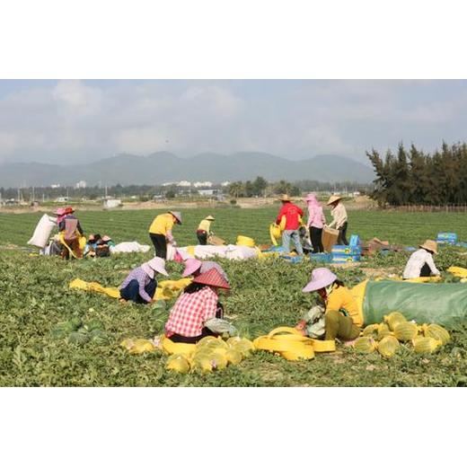 无技术高薪出国打工保底3.2W~正规工签包吃包住带薪年假保险