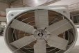 江西赣州卫生间换气扇工业排风扇大功率大风量温室大棚抽风机
