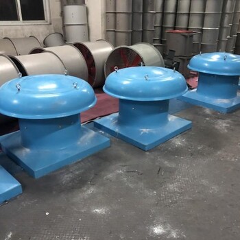 湖南湘西屋頂通風(fēng)機(jī)支持定制