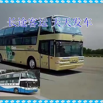 青島到泰安長(zhǎng)途直達(dá)汽車時(shí)刻表查詢-多少錢