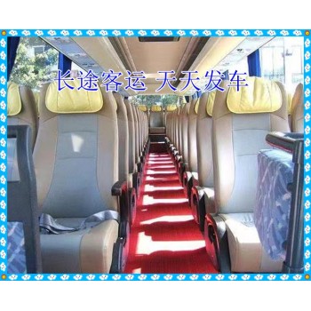 青岛到惠州直达大巴客车汽车一张票多少钱客车票