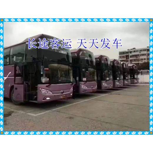 蓬莱到天津客车长途车直达客车汽车客车票