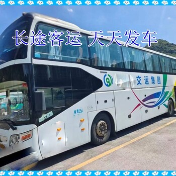 膠州到廈門專線客車汽車時刻表