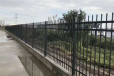 园区折弯锌钢围栏财润丝网供应蓝白色锌钢护栏可定制颜色