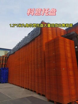 潮州塑料托盤租賃九腳托盤租賃-啤酒瓶托盤租賃
