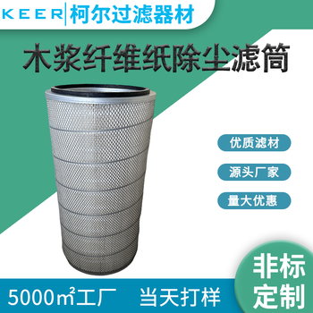 3266木漿纖維紙除塵濾筒適配拋丸機(jī)空氣除塵器空氣除塵濾筒