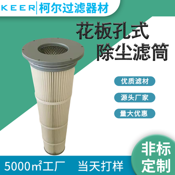 133/162除塵濾芯花板孔除塵濾筒鋼廠替代布袋式工業(yè)除塵濾芯濾筒