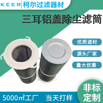 工業(yè)除塵濾芯外三耳鋁蓋除塵濾筒粉末濾芯涂裝噴砂拋丸機吸塵濾筒