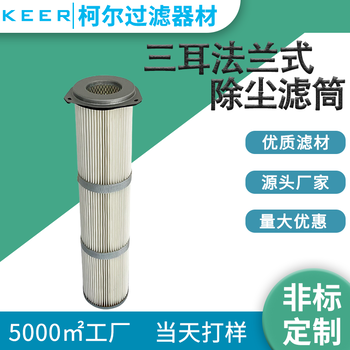 廠家批發(fā)凈化器過濾器粉塵風(fēng)機(jī)除塵器濾筒三耳法蘭式除塵器濾芯