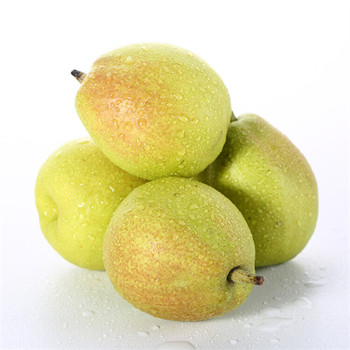 蘇州金閶區(qū)生鮮蔬菜配送公司誠信經(jīng)營生鮮食品配送中心行情