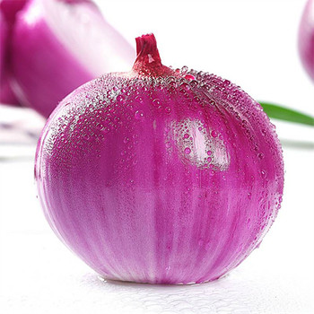 無(wú)錫南長(zhǎng)區(qū)新鮮蔬菜配送公司價(jià)格生鮮蔬菜配送公司哪里買