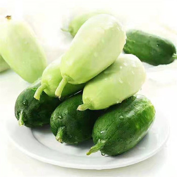 金壇區(qū)配送蔬菜質(zhì)量生鮮冷鏈配送調(diào)價信息