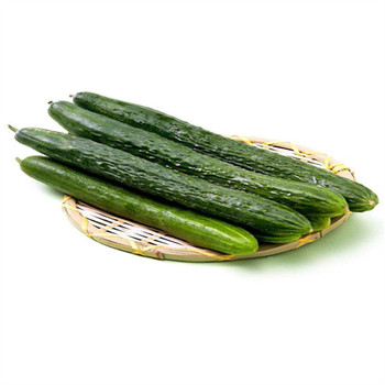 蘇州金閶區(qū)生鮮蔬菜配送公司誠信經(jīng)營生鮮食品配送中心行情