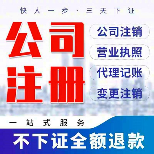 武汉洪山公司银行变更-武汉公司法人变更网上办理流程-启琛专人代理变更