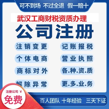江岸區(qū)注銷公司執(zhí)照-漢口個體戶核定-辦事直通