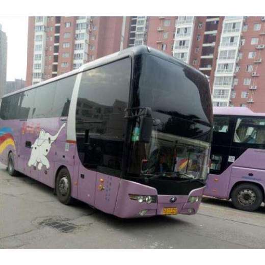 客车)平度到曹县的客车（直达大巴汽车）