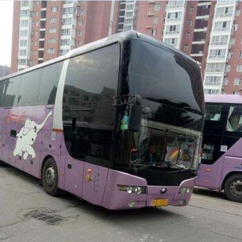 直達客車(萊州到櫻桃園)的汽車大巴車票價格
