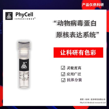 供應(yīng)水貂腸炎病毒蛋白，豬藍(lán)耳病毒細(xì)胞株LV株