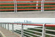 西藏阿里不锈钢碳素钢复合管护栏不锈钢防撞护栏