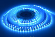  Panzhihua LED light strip - light strip retail - contact number