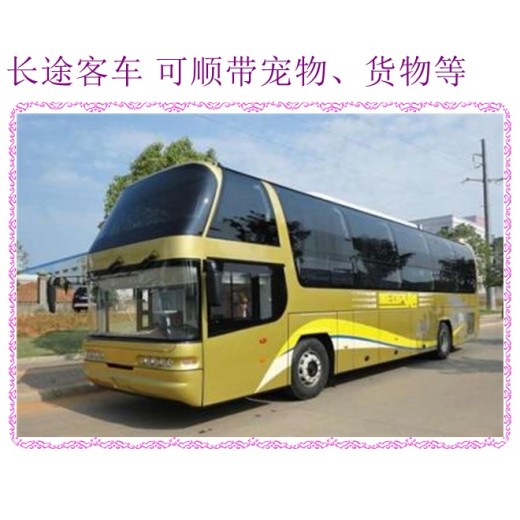 客车推荐：哈尔滨到杭州客车汽车直达客车汽车