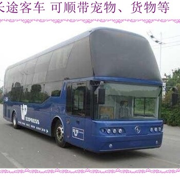 客車推薦：四平到東營專線臥鋪客車查詢及營運臥鋪客車