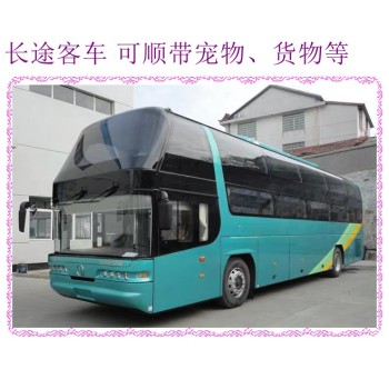 荣城到驻马店始发汽车直达坐直达客车查询2024客车大巴车