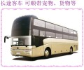 青岛到贵州欢迎乘坐汽车卧铺营运汽车2024长途客车