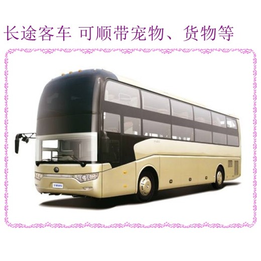客车推荐：长治到青州汽车客车直达的大巴