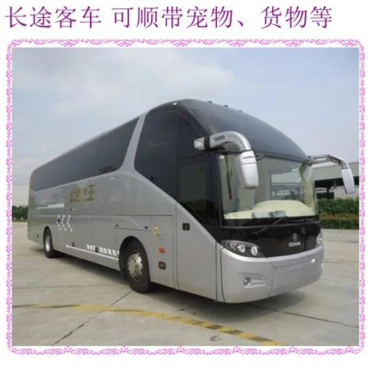 胶南到重庆豪华汽车汽车时刻表大巴客车2024直达汽车