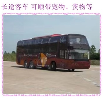 滨州到宜宾欢迎乘坐汽车卧铺营运汽车2024大巴客车