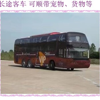 滨州到宜宾欢迎乘坐汽车卧铺营运汽车2024大巴客车