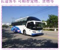 龙口到郑州汽车大巴直达客车汽车2024长途大巴车