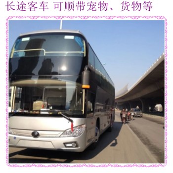 客车推荐：哈尔滨到高密的大巴车