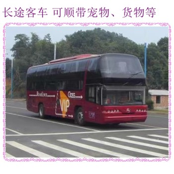 客车推荐：哈尔滨到金华直达客车直达客车汽车