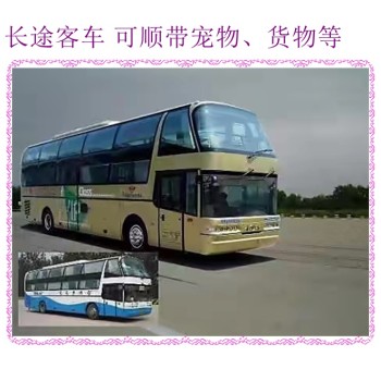 杭州到哈尔滨专线客车时刻表查询