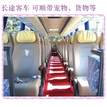客车推荐：任丘到青州直达大巴客车汽车
