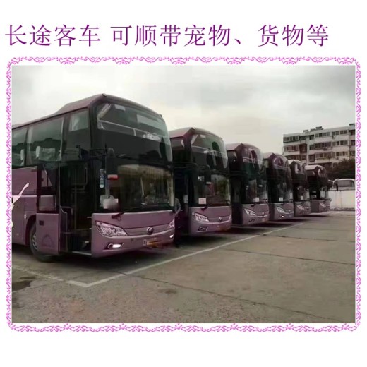 客车推荐：哈尔滨到杭州直达汽车长途车大巴资讯