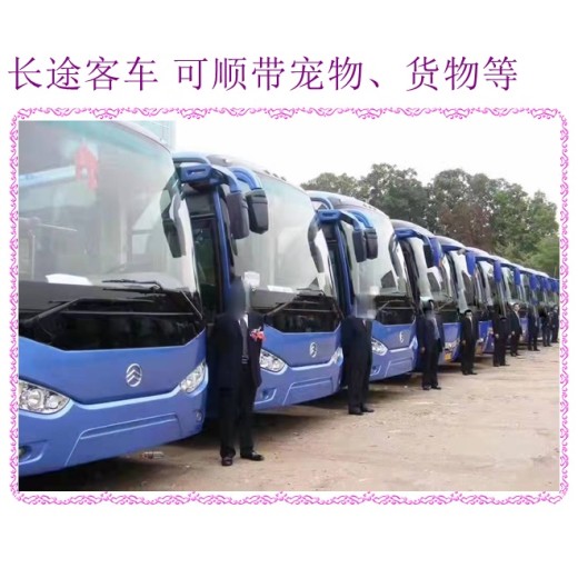 济南到南京长途直达大巴直达客车2024大巴车